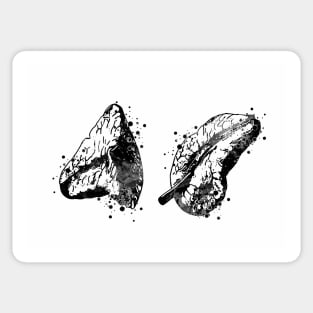 Adrenal Gland Black and White Anatomy Drawing Sticker